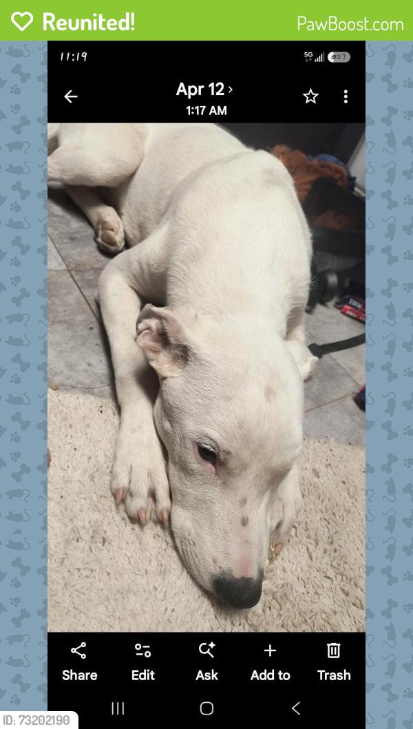 Reunited Male Dog last seen 44th street and foothills blvd, Fortuna Foothills, AZ 85367