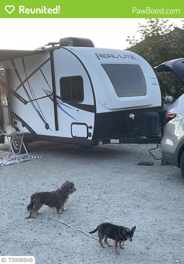 Reunited Female Dog last seen Mountain Shadows mobile home park, Highland, CA 92346