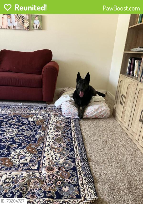 Reunited Unknown Dog last seen Edna and Tylerson, by Frontier Elem, Boise, ID 83713