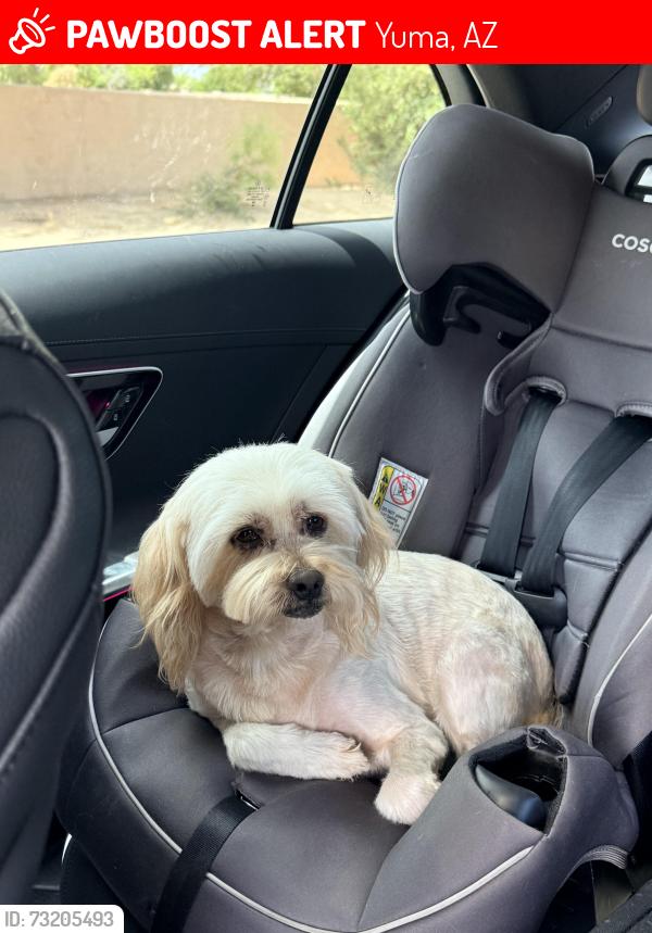 Lost Male Dog last seen Near s Fairchild road, Yuma, AZ 85365