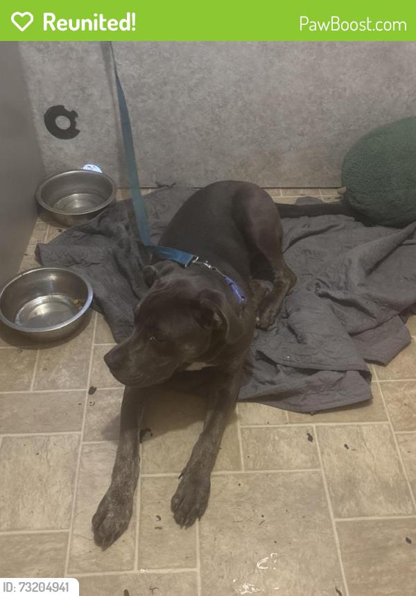 Reunited Male Dog last seen 24th st ne, Ruskin, FL 33570