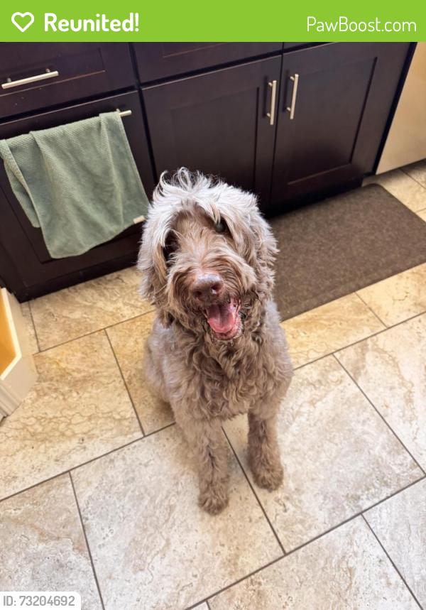 Reunited Male Dog last seen Temperance & Barstow, Clovis, CA 93611