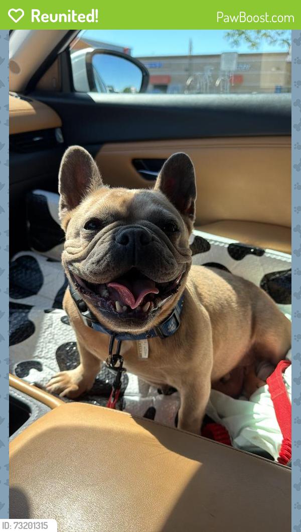 Reunited Female Dog last seen South Ave, Modesto, CA, Modesto, CA 95351