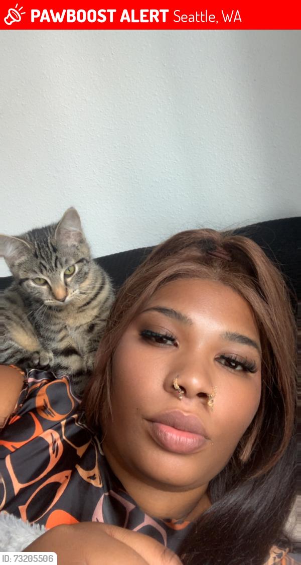 Lost Female Cat last seen Near rainier ave s Seattle wa, Seattle, WA 98118
