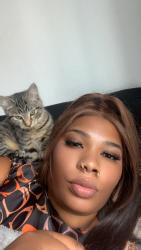 Lost Female Cat last seen Near rainier ave s Seattle wa, Seattle, WA 98118
