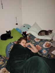 Lost Female Cat last seen Near payipwat Common SW Edmonton AB T6W5K7, Edmonton, AB T6W 5K7