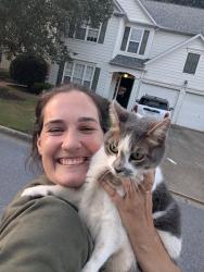 Reunited Female Cat last seen Quarrington Ct, Alpharetta, GA 30004