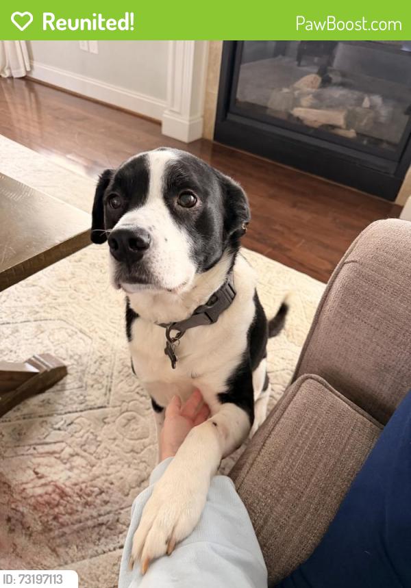 Reunited Male Dog last seen Conyers St and Floyd St, Covington, GA 30014