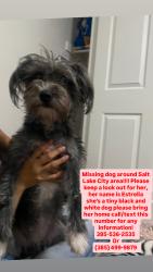 Reunited Female Dog last seen Near S 200 E Salt Lake City, UT 84115 United States, Salt Lake City, UT 84115