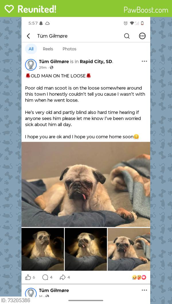 Reunited Male Dog last seen Training camp for rock climbing, Rapid City, SD 57701