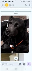 Lost Female Dog last seen 21st shadeland, Indianapolis, IN 46219