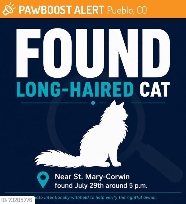Found/Stray Unknown Cat last seen St Mary Corwin hosp, Pueblo, CO 81004