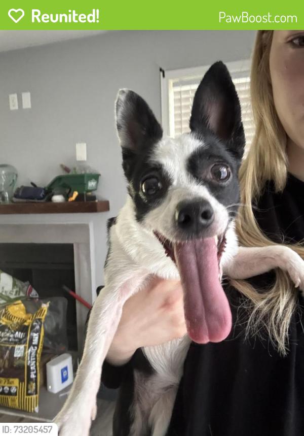 Reunited Unknown Dog last seen Near, Fort Worth, TX 76137