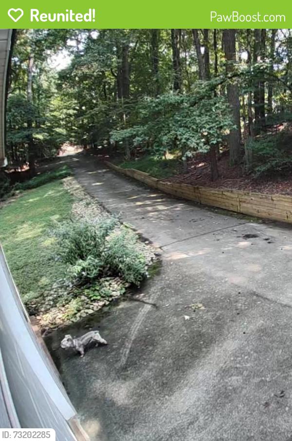 Reunited Unknown Dog last seen Near morning view, Suwanee, Suwanee, GA 30024