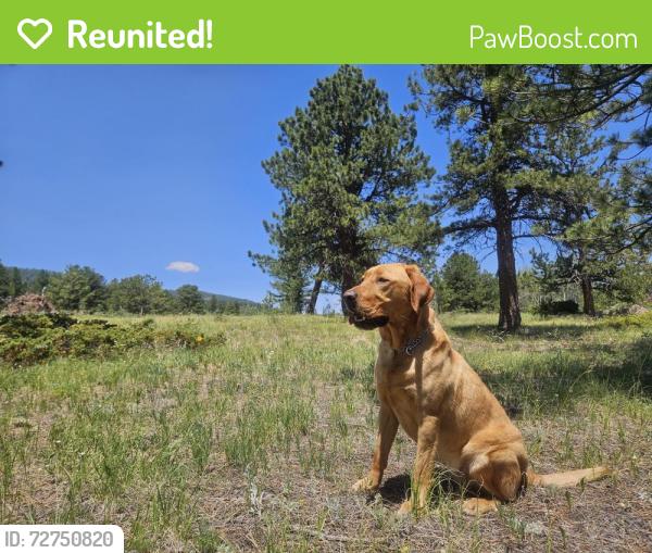 Reunited Female Dog last seen Country Club West Greeley, Greeley, CO 80634
