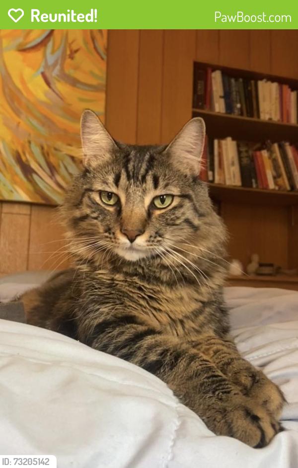 Reunited Male Cat last seen 22nd & Eaton St, Edgewater, CO 80214