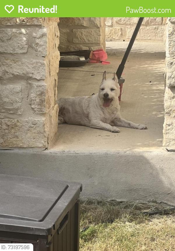 Reunited Male Dog last seen Ranch view, San Antonio, TX 78254