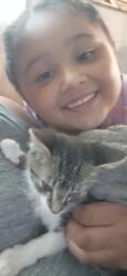Lost Male Cat last seen Alpine and leonard, Grand Rapids, MI 49504