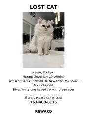 Lost Male Cat last seen Erickson Dr New Hope, Minneapolis, MN 55428