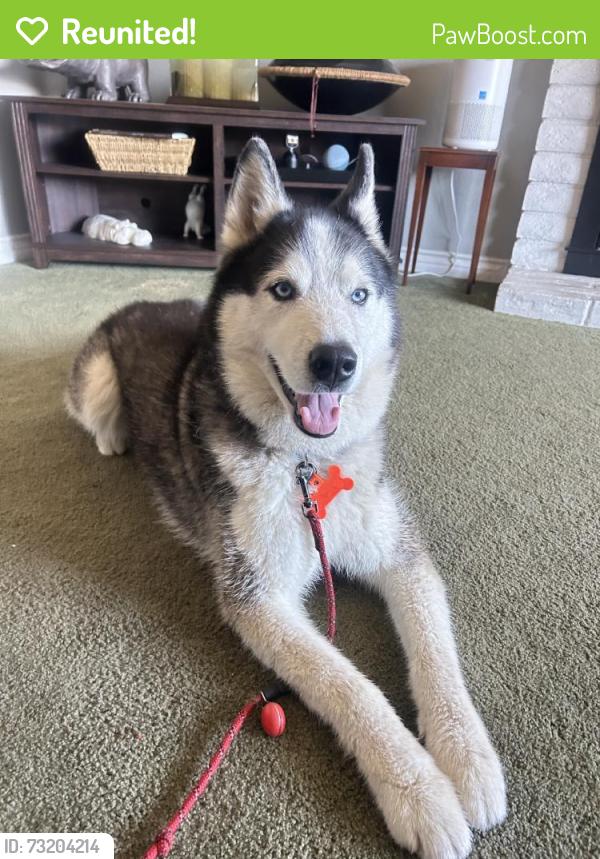 Reunited Unknown Dog last seen Near Juniper St, Chula Vista, CA 91911, USA, Chula Vista, CA 91911