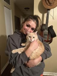 Lost Male Cat last seen Near Merlin Dr., Sunbury, OH 43074