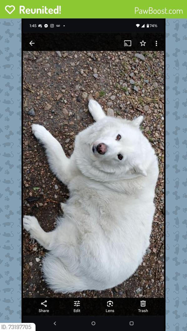 Reunited Female Dog last seen 3rd and Sheridan, Lakewood, CO 80226