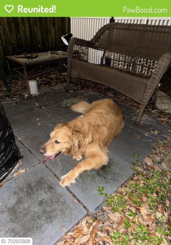 Reunited Unknown Dog last seen South Mellonville Ave. Speer park, Sanford, FL 32771