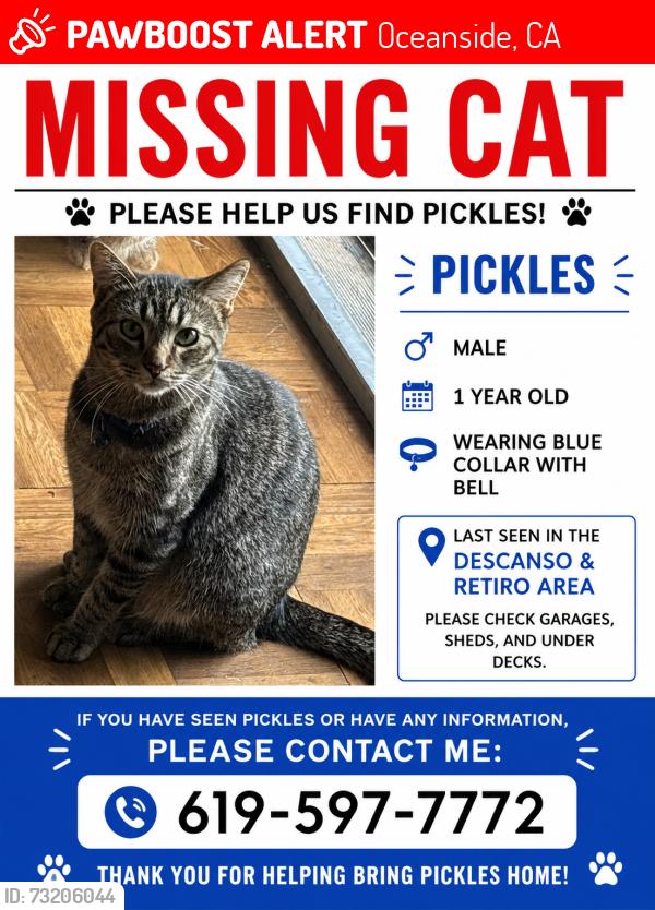Lost Male Cat last seen Calle de Retiro & Descanso, Oceanside, CA 92057