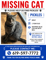 Lost Male Cat last seen Calle de Retiro & Descanso, Oceanside, CA 92057