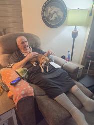 Found/Stray Female Dog last seen Wild Iris and Windflower, New Braunfels, TX 78130