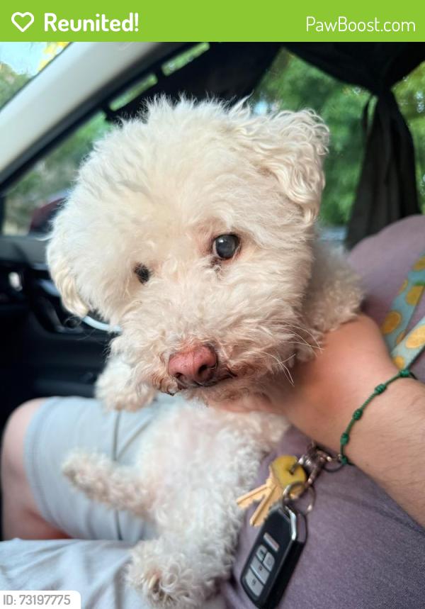 Reunited Unknown Dog last seen Greyrock St & Arrowhead Dr, Victorville, CA 92395