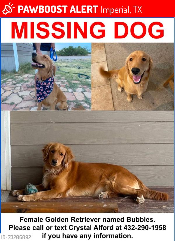 Lost Female Dog last seen Imperial Tx, Imperial, TX 79743