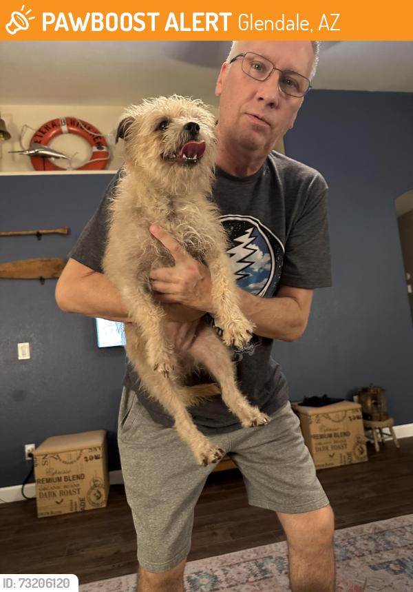 Found/Stray Unknown Dog last seen Deer Valley & 35th ave, Glendale, AZ 85301
