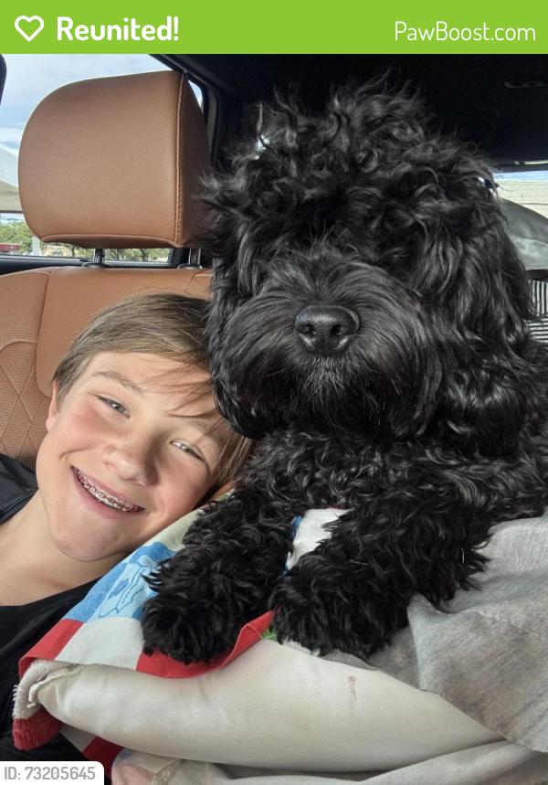 Reunited Female Dog last seen Olympia Trace Cir, Fort Worth, TX 76244