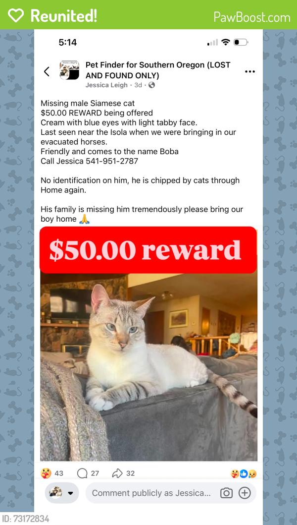 Reunited Male Cat last seen Expo, Central Point, OR 97502