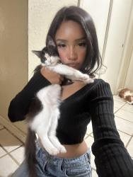 Lost Female Cat last seen Near n e st, Stockton, CA 95205