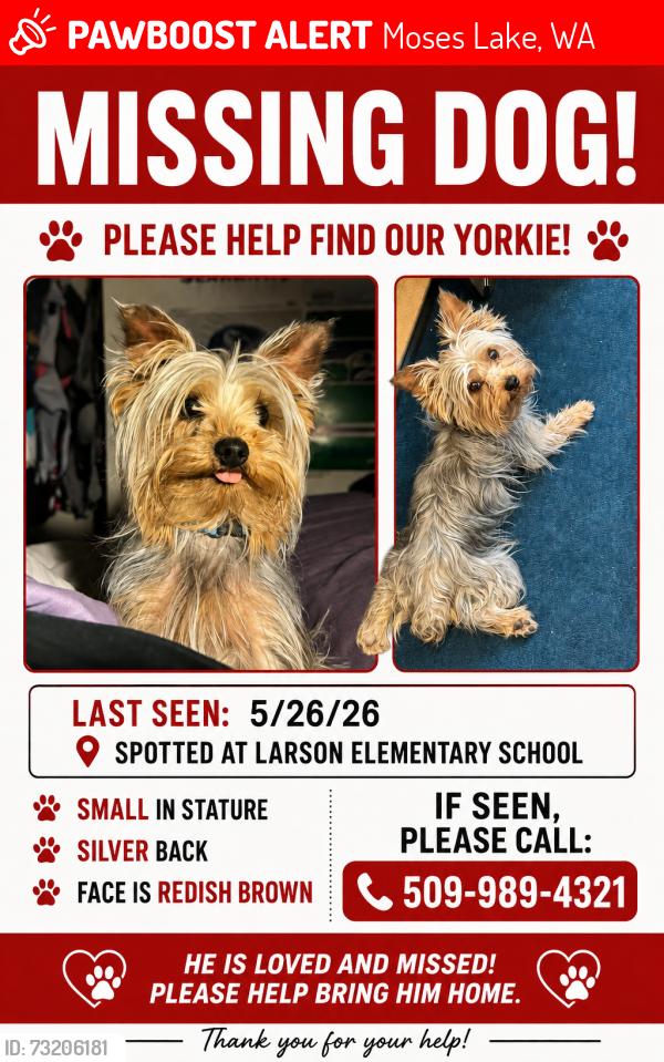 Lost Male Dog last seen On the base at Larson Elementary, Moses Lake, WA 98837