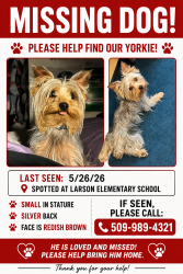 Lost Male Dog last seen On the base at Larson Elementary, Moses Lake, WA 98837