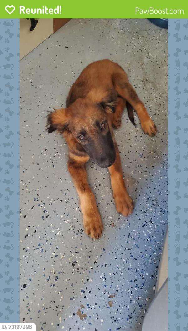 Reunited Male Dog last seen Center Parkway, Sacramento, CA 95823