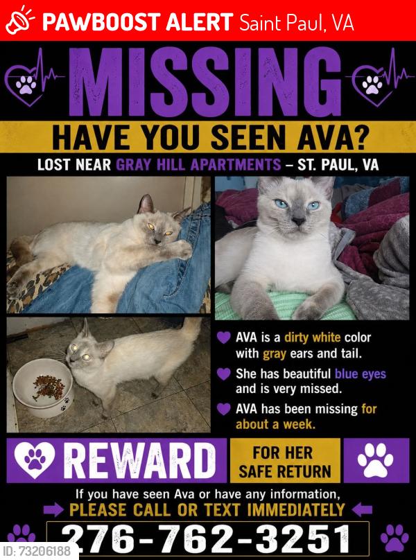 Lost Female Cat last seen Near Third Ave Stpaul Va 24283, Saint Paul, VA 24283