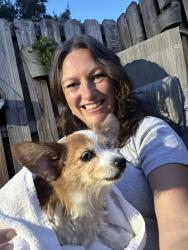 Reunited Female Dog last seen Chenango and Drifter Drive, Charlotte, NC 28227