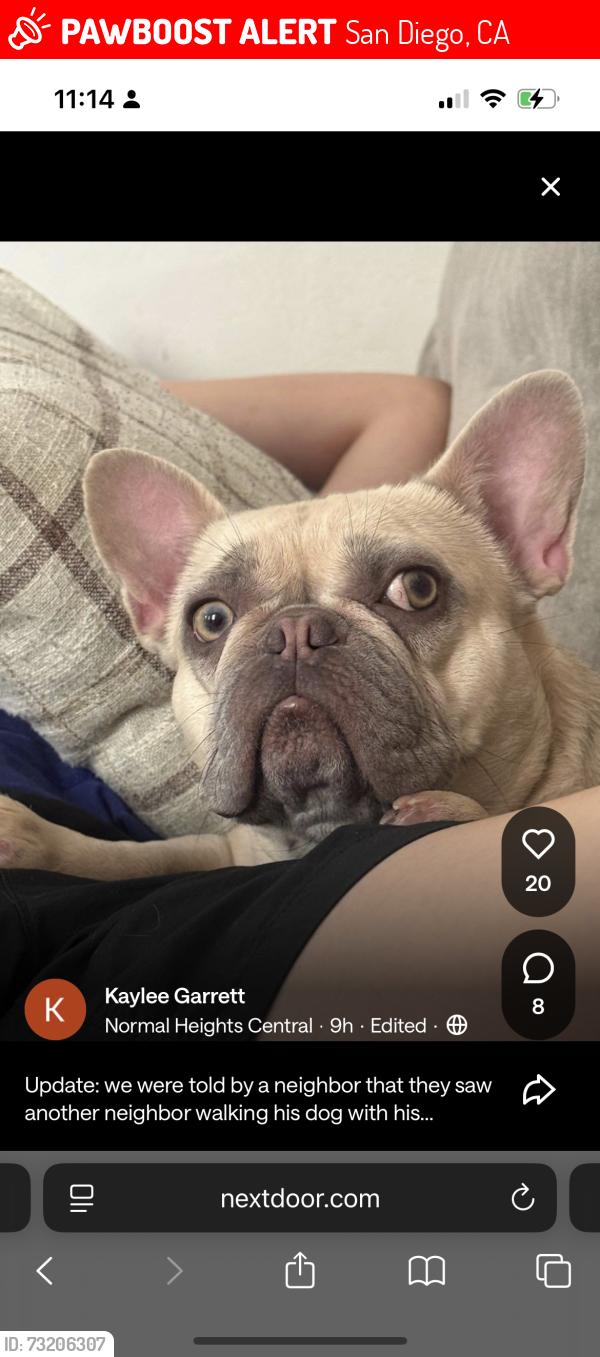Lost Female Dog last seen Wilson ave and Meade, San Diego, CA 92104