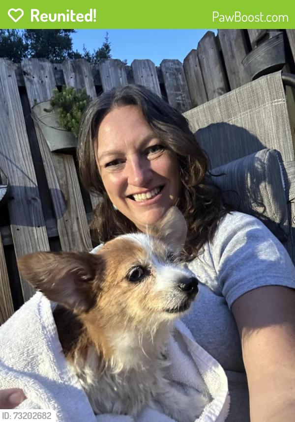 Reunited Female Dog last seen Chenango and Drifter Drive, Charlotte, NC 28227