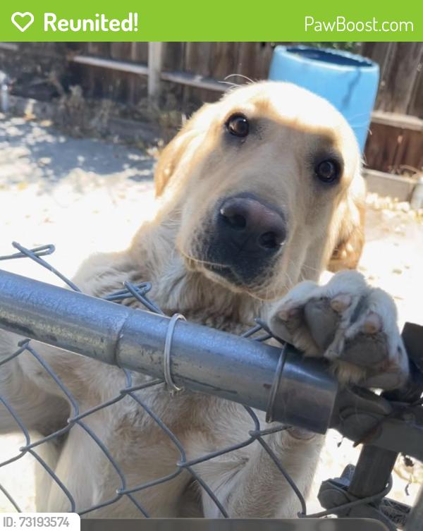 Reunited Male Dog last seen Second St. And Kansas St., Fairfield, CA 94533
