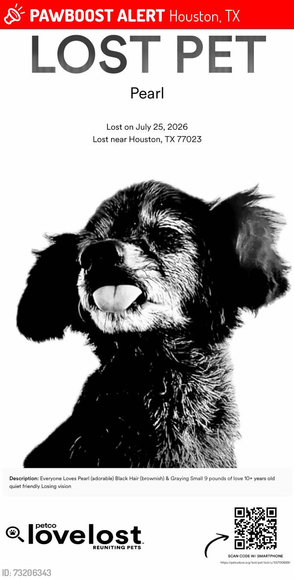 Lost Female Dog last seen Henninger @ Jefferson Street, Houston, TX 77023