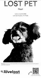 Lost Female Dog last seen Henninger @ Jefferson Street, Houston, TX 77023
