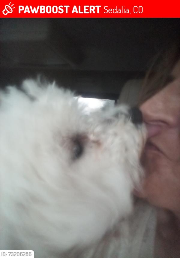 Lost Female Dog last seen Near North Peterson Street Sedalia Colorado 80135, Sedalia, CO 80135
