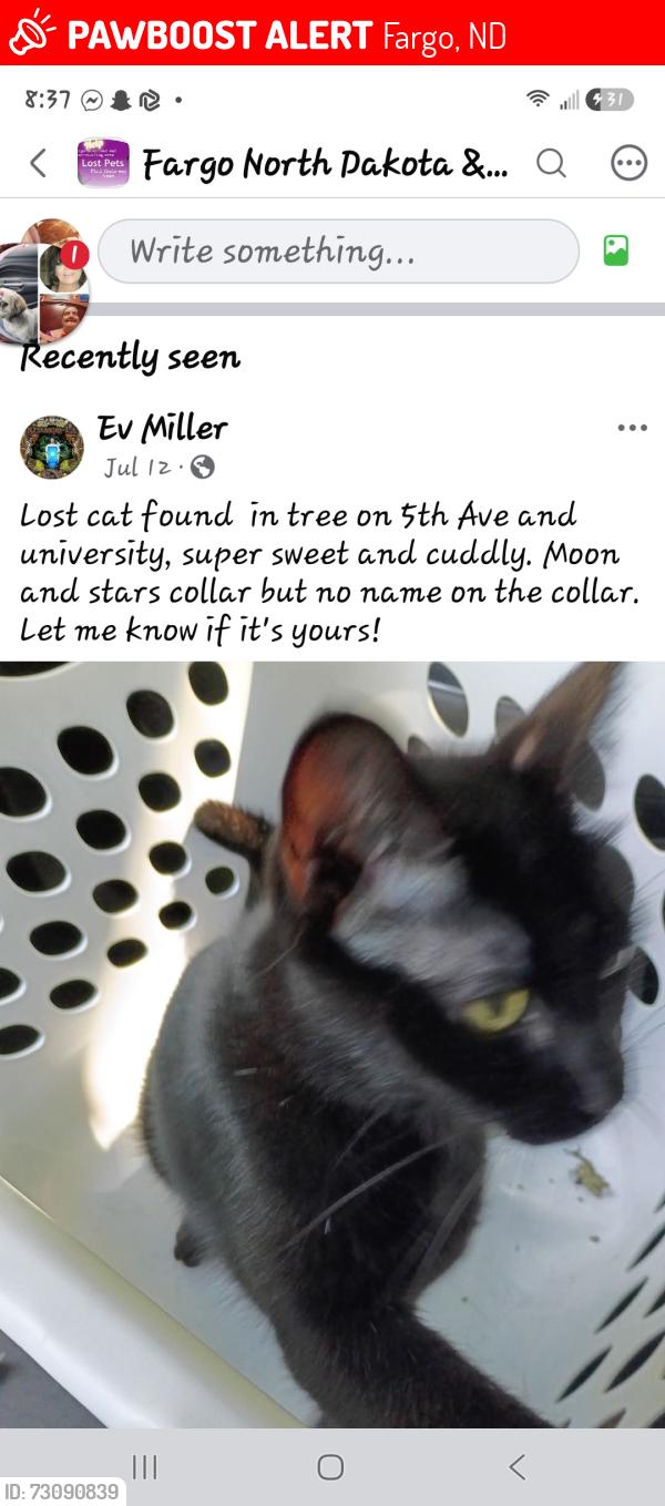Lost Male Cat last seen Near 15th St S, Fargo, ND 58103