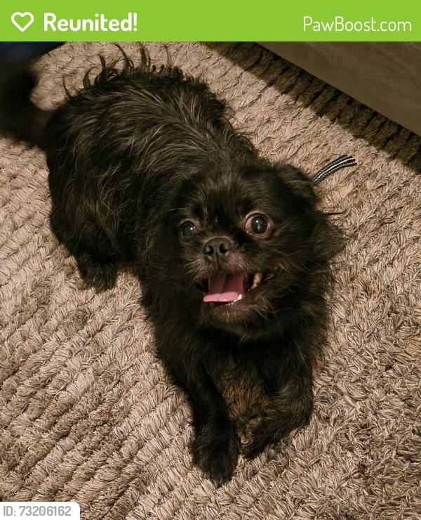 Reunited Male Dog last seen 14th Ave and Franklin st. Denver Co., Denver, CO 80218