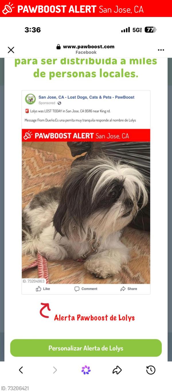 Lost Female Dog last seen Near shortridge, San Jose, CA 95116